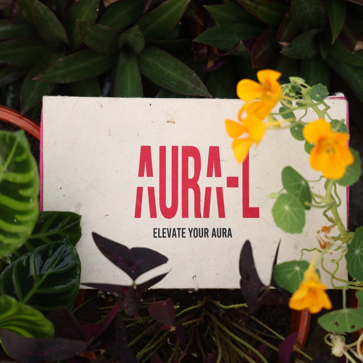 Mindfulness Box (7 - Chakra Balancing Meditation Kit)